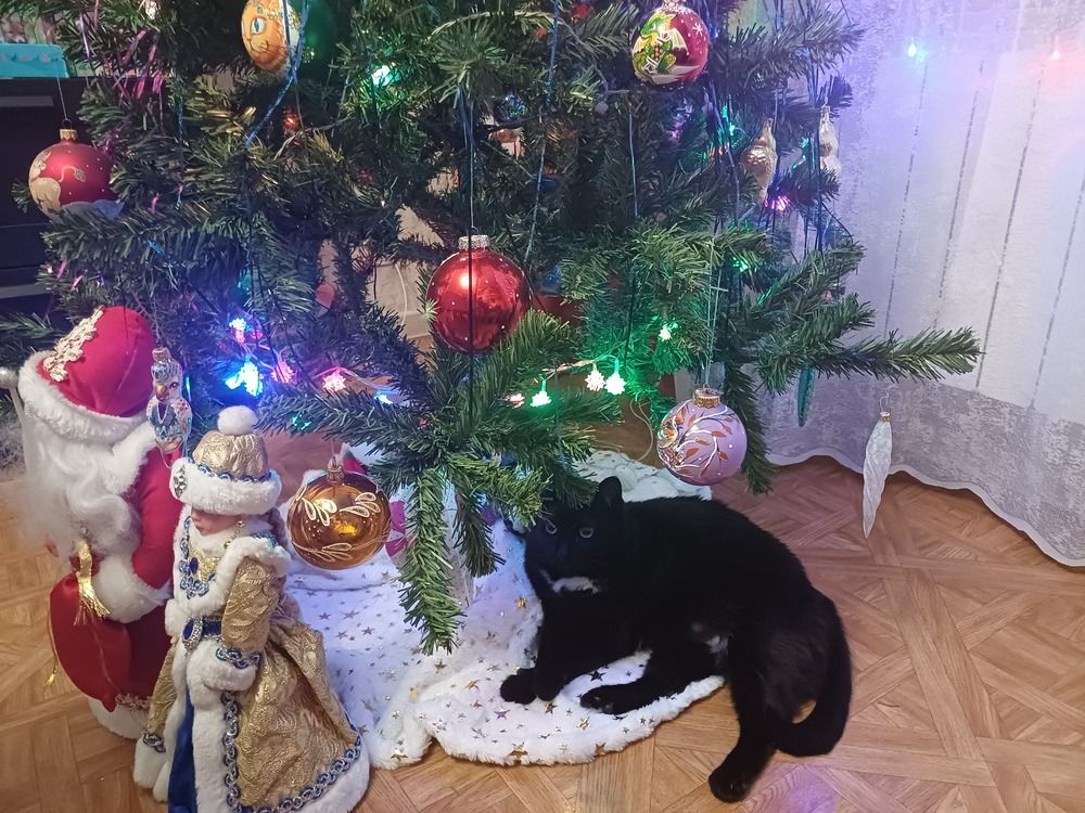 Photograph by Елена Казаренко