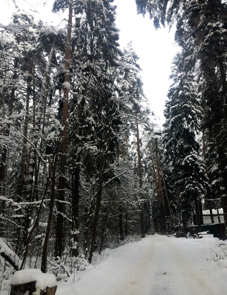 Фотография автора Елизавета Станкевич