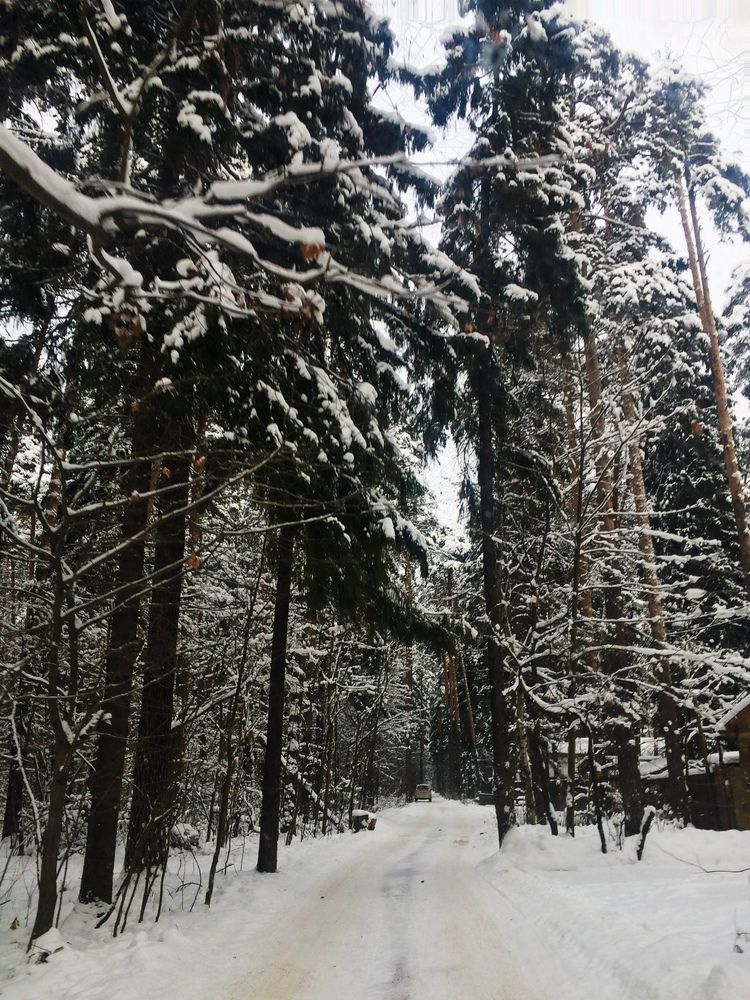 Фотография автора Елизавета Станкевич