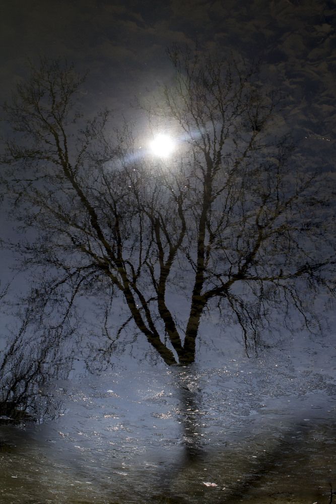 Волшебная ночь