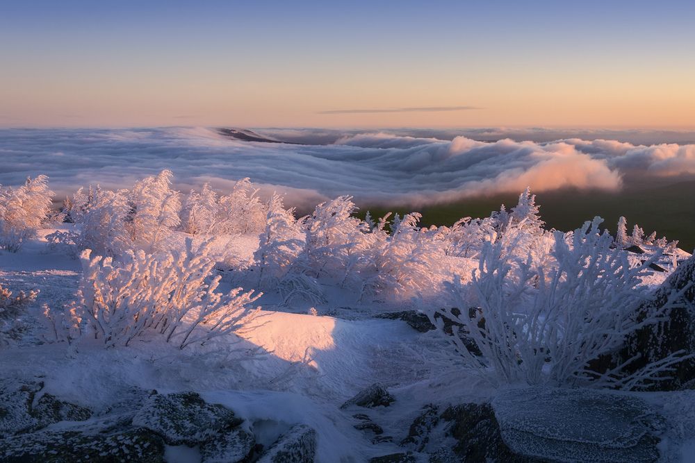 Photograph by Светлана Урманцева