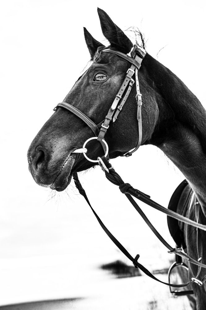 Photograph by Ольга Кушнарева