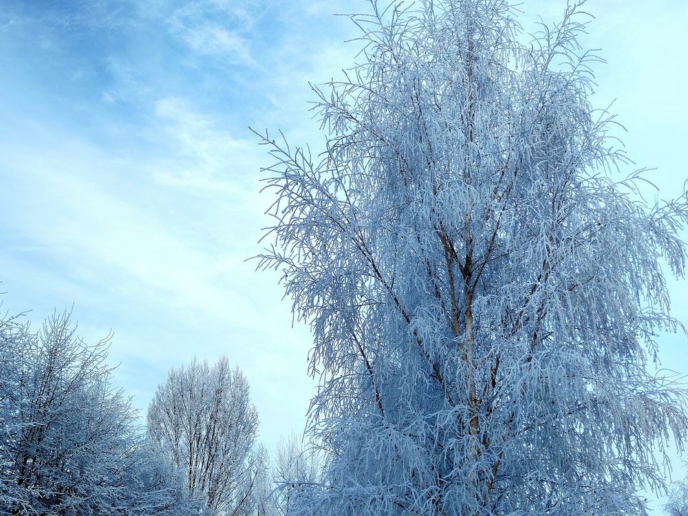 Фотография автора Ирина Пивненко