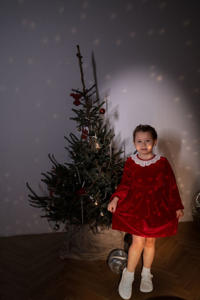 Photo #13074225