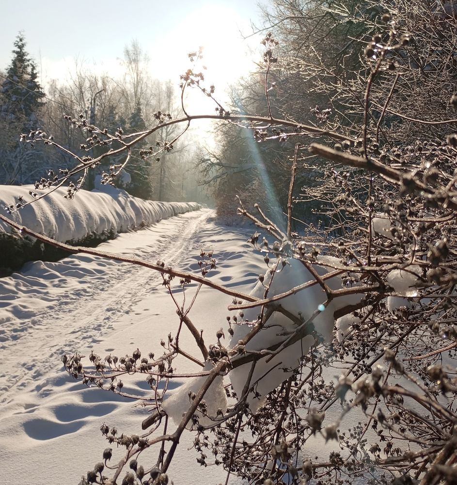 Photograph by Татьяна Кунц