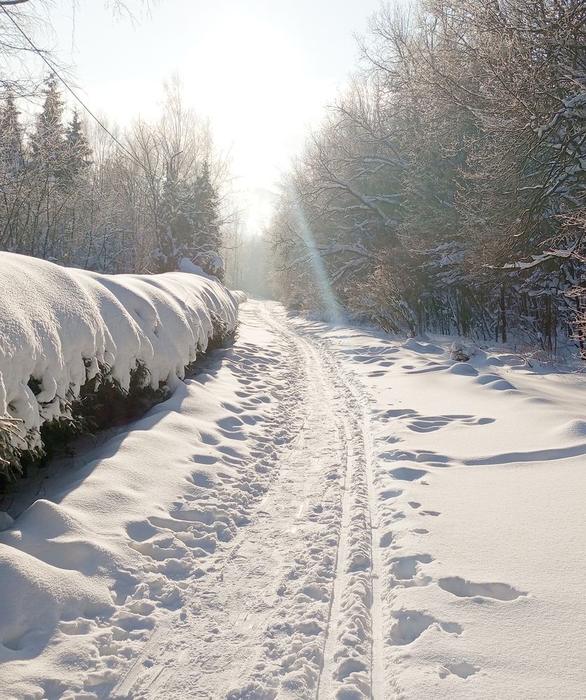 Photograph by Татьяна Кунц