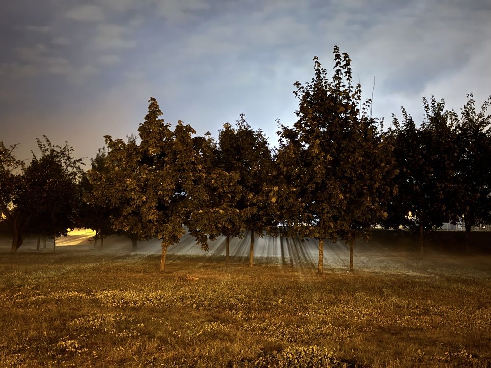 Photograph by Светлана Гринкевич