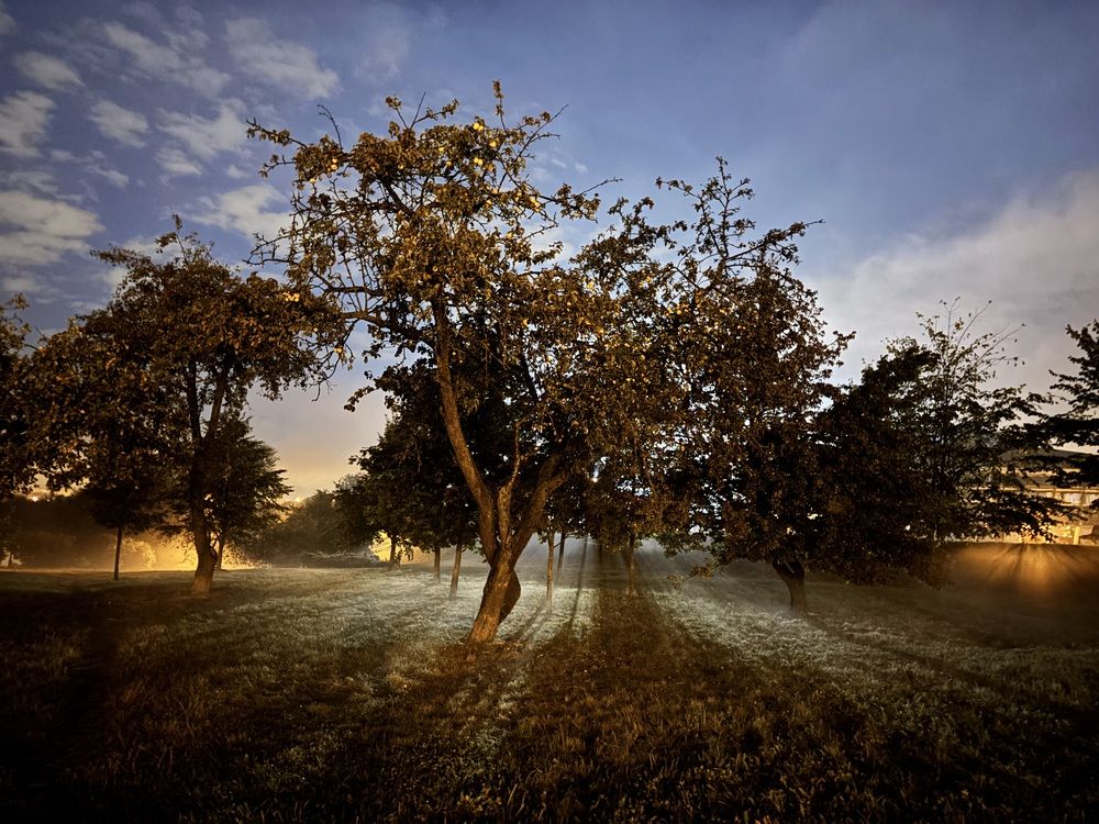 Photograph by Светлана Гринкевич