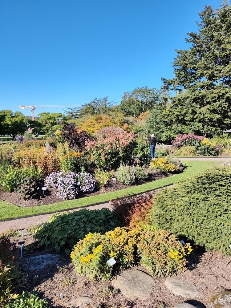 Photograph by Chandrika Ghoshal