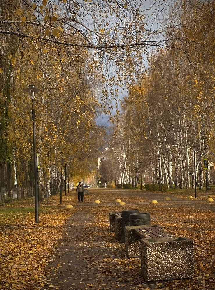 Photograph by Наталья Богаткина