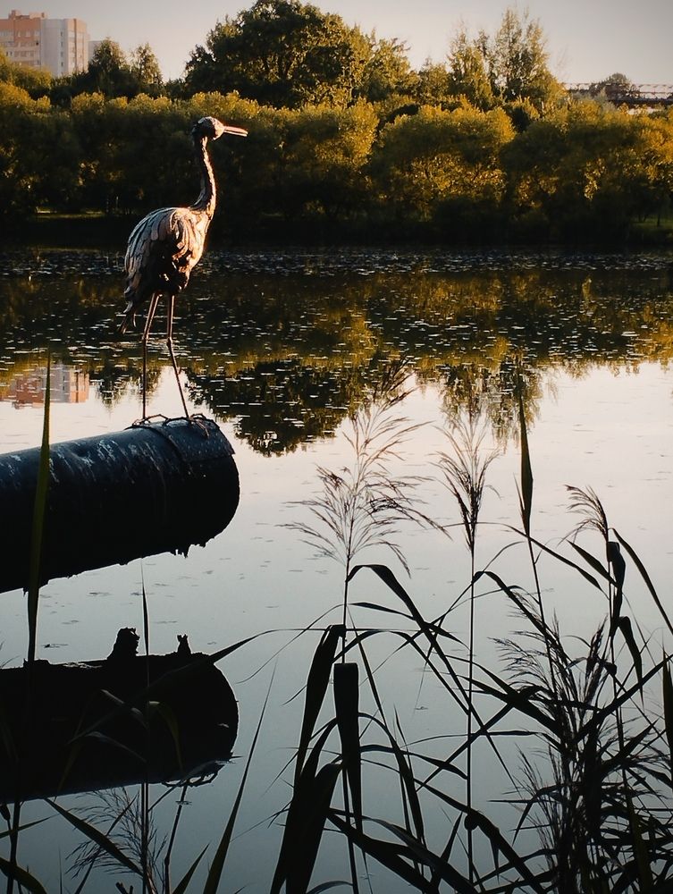 Photograph by Ия Дирко