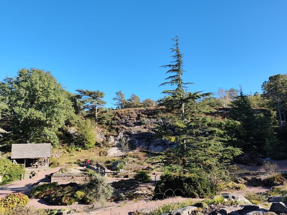 Photograph by Chandrika Ghoshal