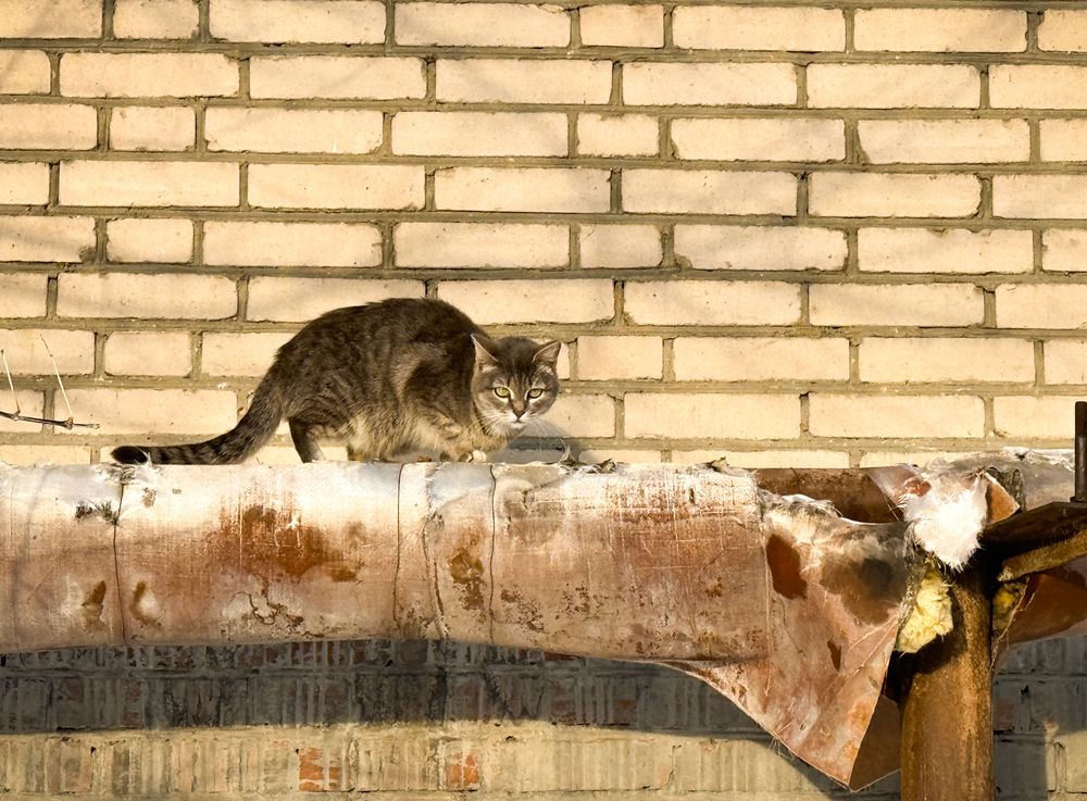 Photograph by Анна Потапова