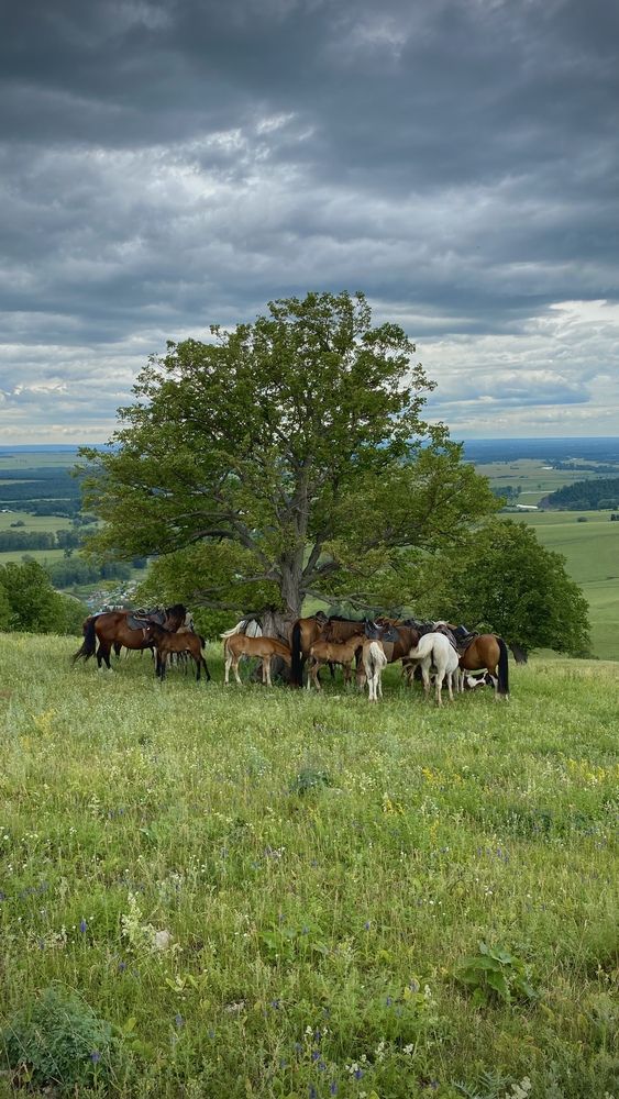 Photograph by Наталья Богаткина