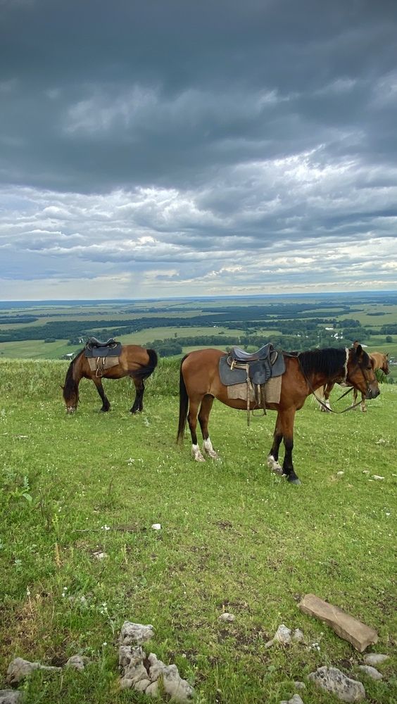 Photograph by Наталья Богаткина