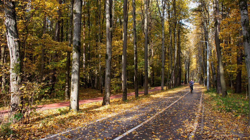 Photograph by Юлия Алпатова