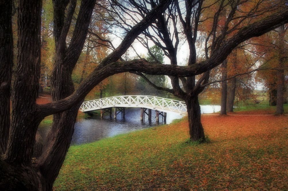 Photograph by Станислав Староверов