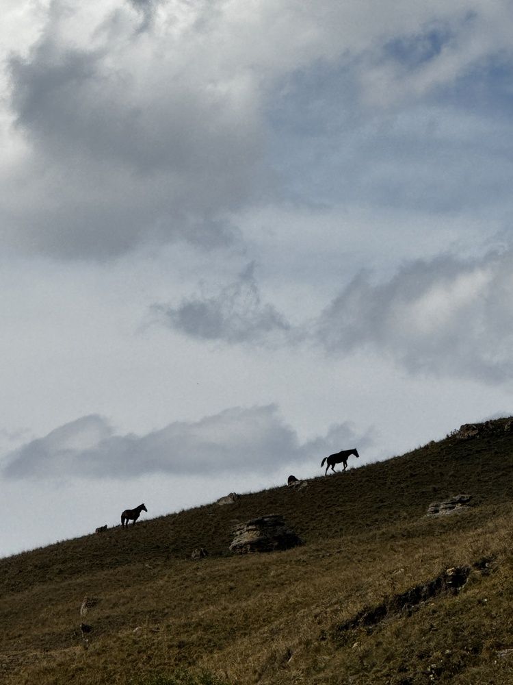 Photograph by Дарья Ищенко