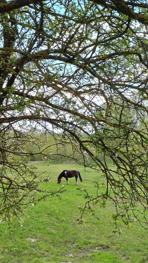 Photograph by Елена Воронова