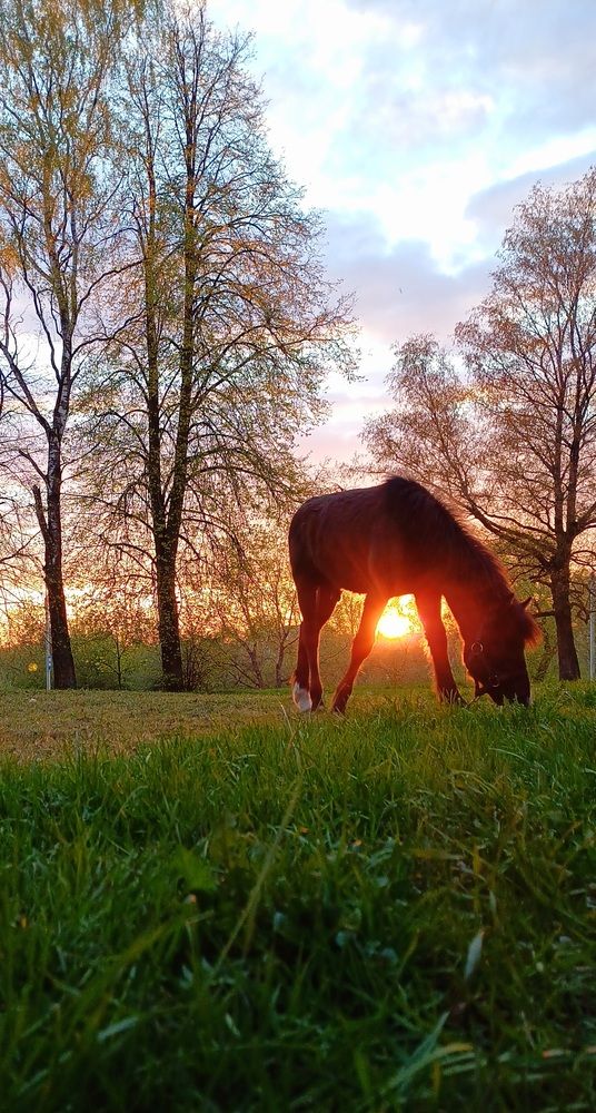 Photograph by Елена Воронова