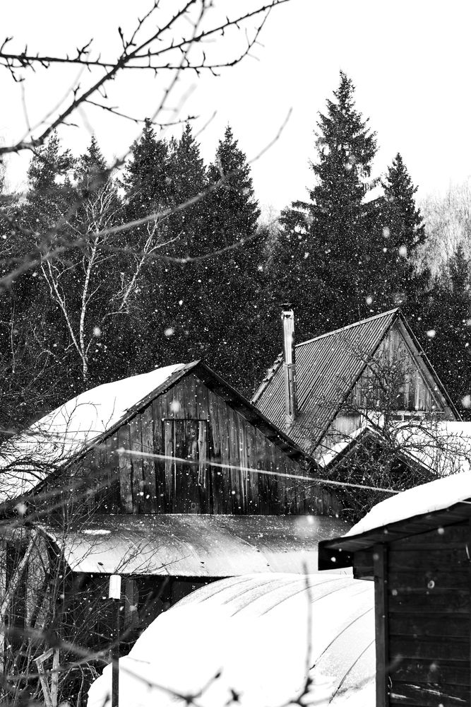 Фотография автора Александр Жданов