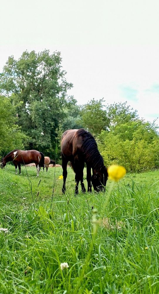 Photograph by Елена Воронова