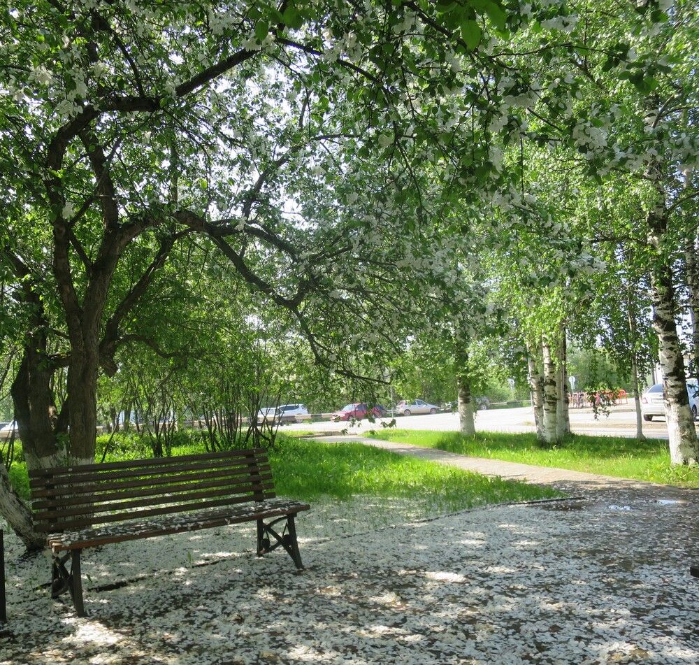 Photograph by Николай Горбачёв