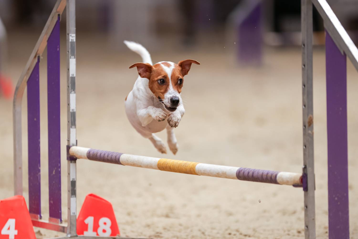 Фотография #13074488