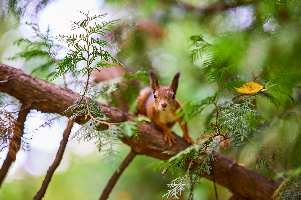 Photograph by Игорь Кад