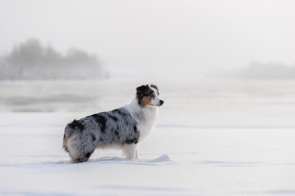 Photograph by Шерскова Мария