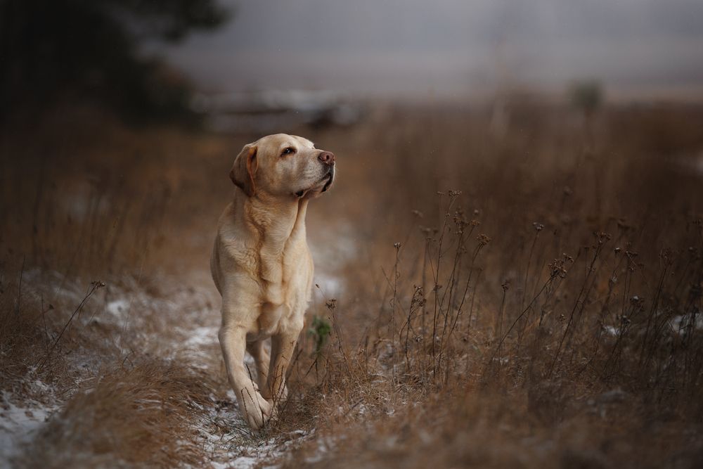 Photograph by Шерскова Мария