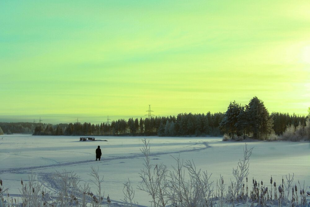 Photograph by Ольга Долгополова