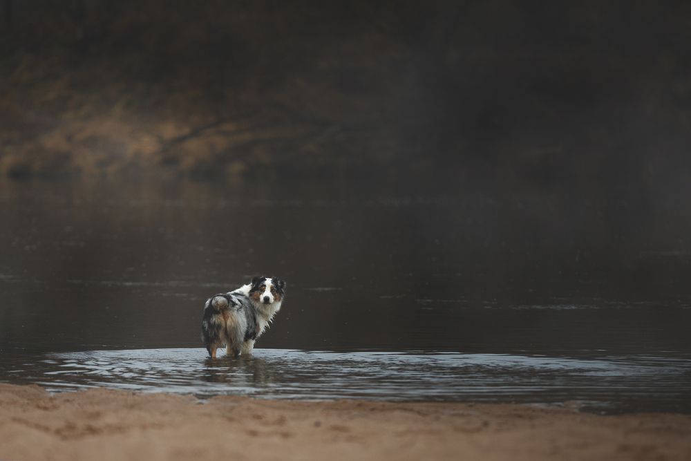 Photograph by Шерскова Мария