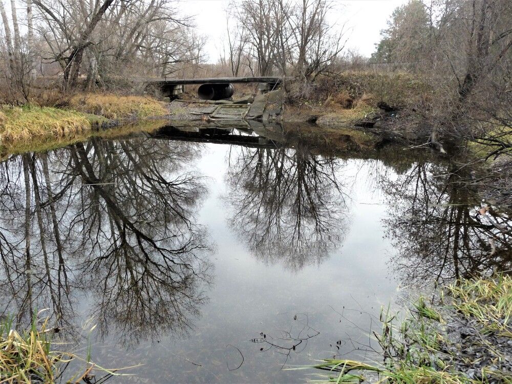 Photograph by Галина