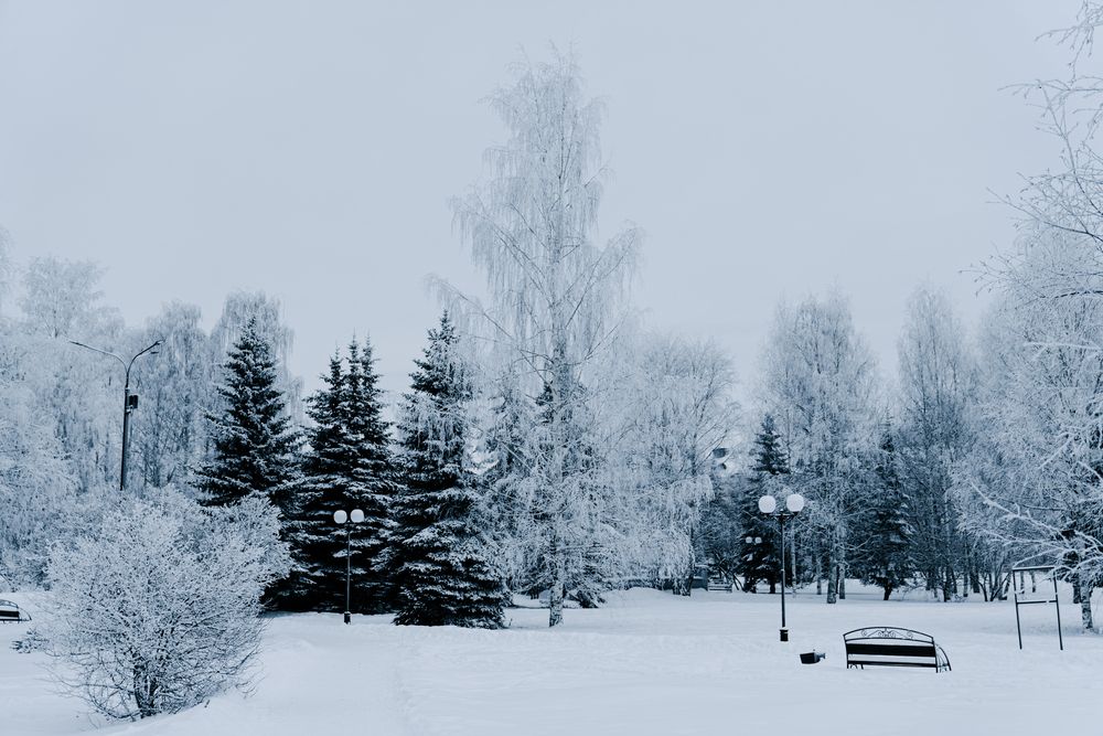 Photograph by Андрей Вешняков