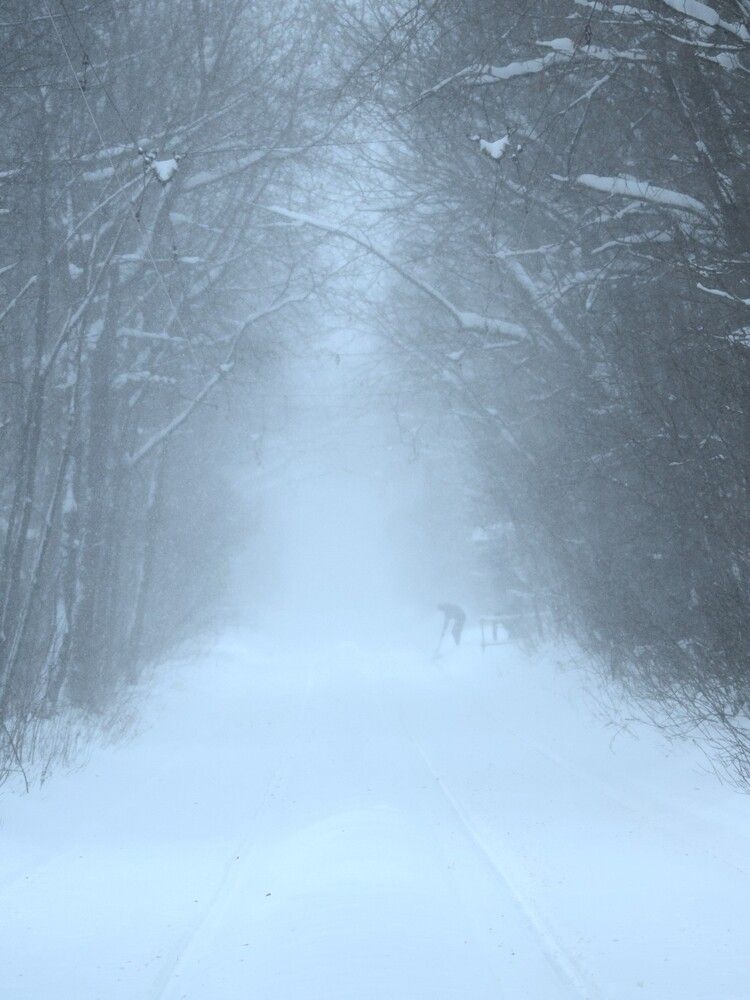 Photograph by Николай Потапов