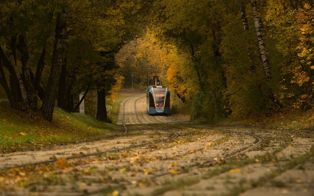 Photograph by Николай Потапов