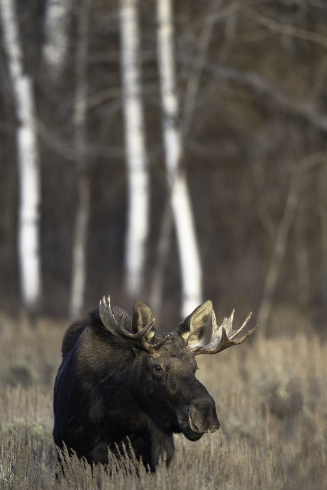 Photograph by Dave Miller