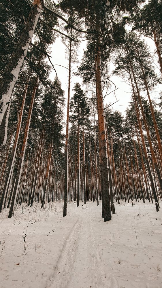 Photograph by Людмила Горячева