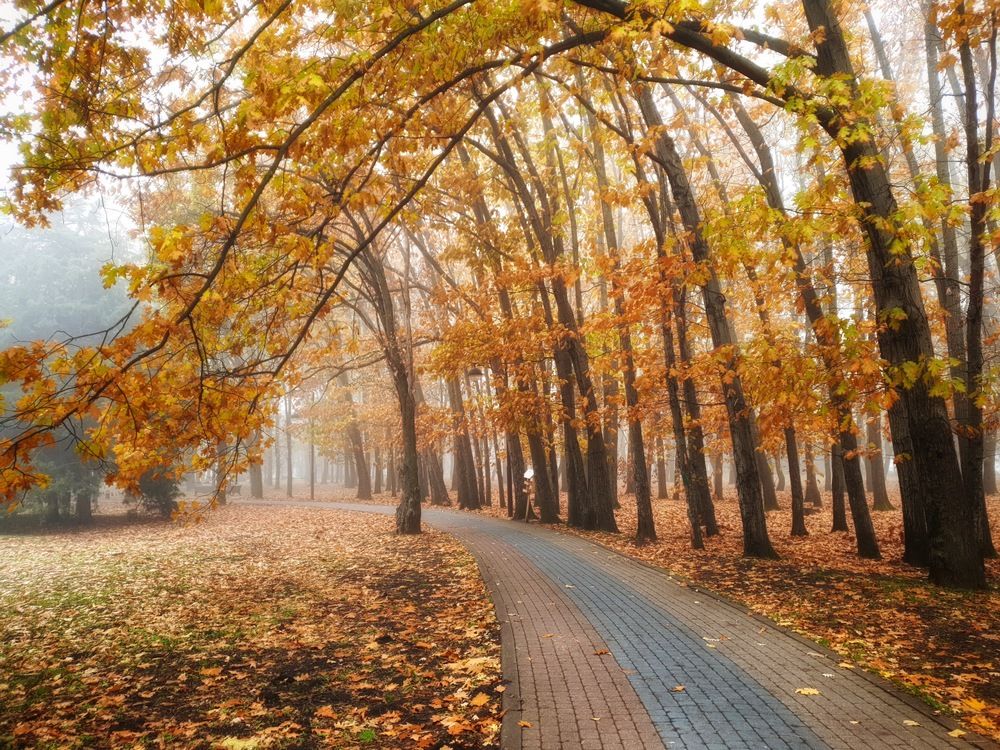 Photograph by Сергей Тихомиров