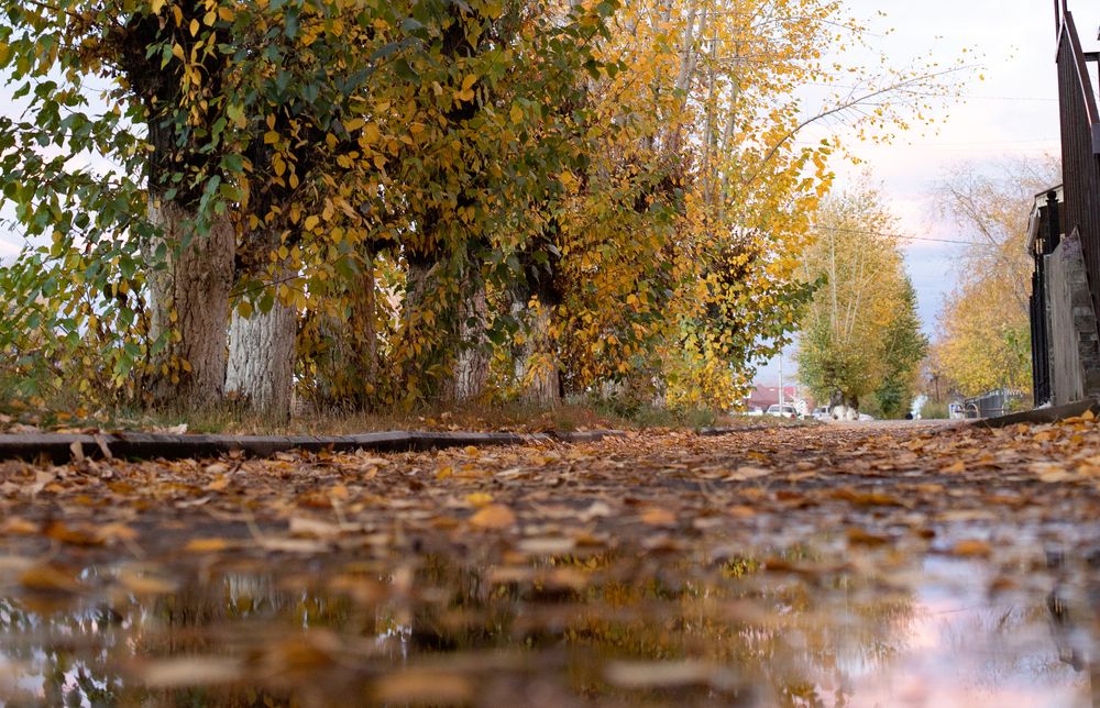 Photograph by Светлана