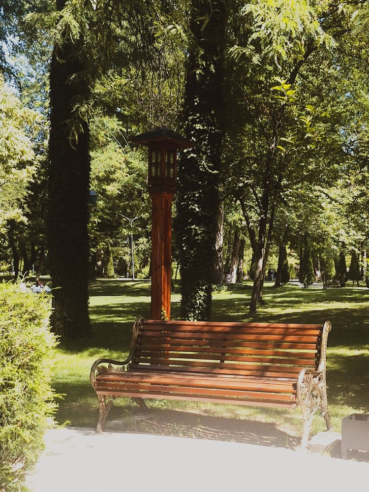 Фотография автора Elena Safarova