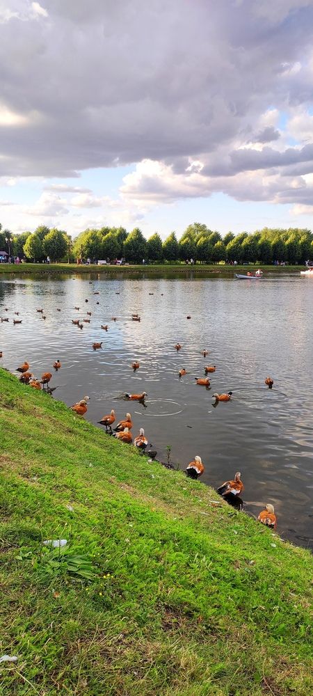 Фотография автора Анастасия Большакова