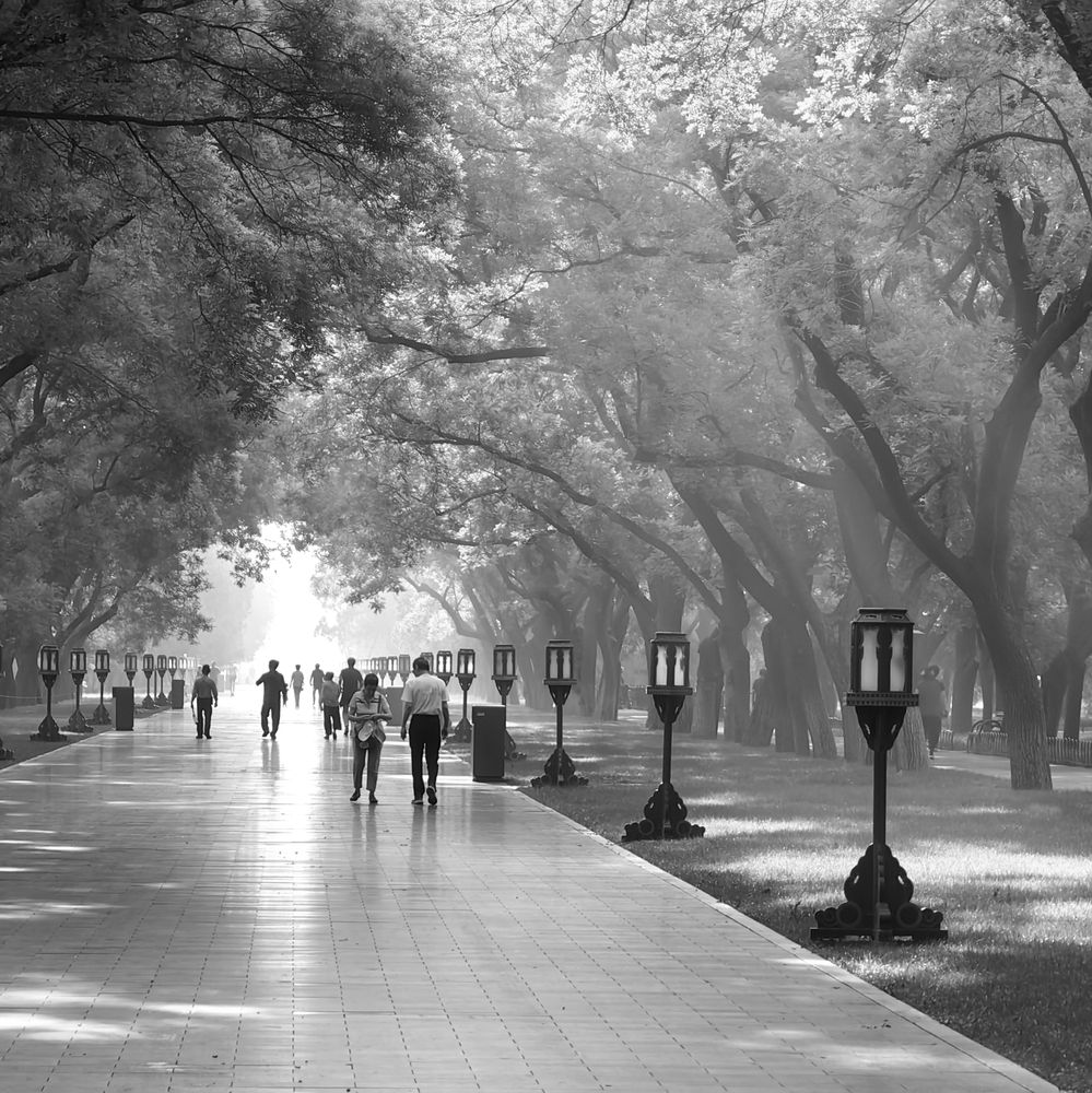 Photograph by Игорь Крыжко