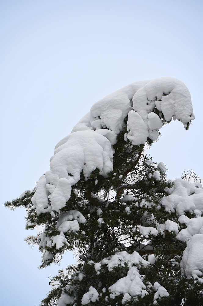 Фотография автора Андрей Фоминых