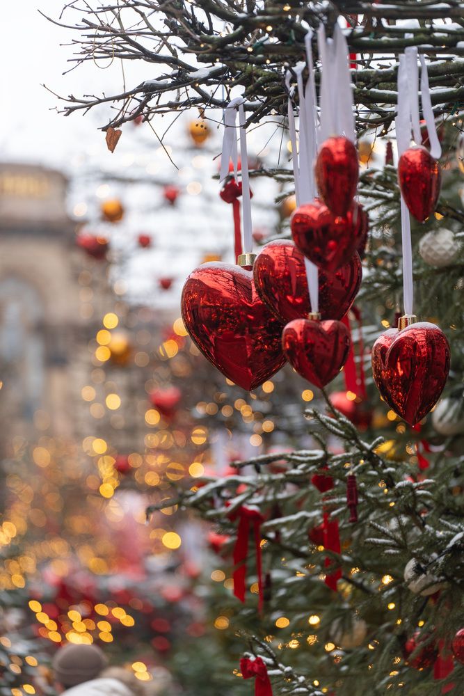 Фотография автора Светлана Зимина