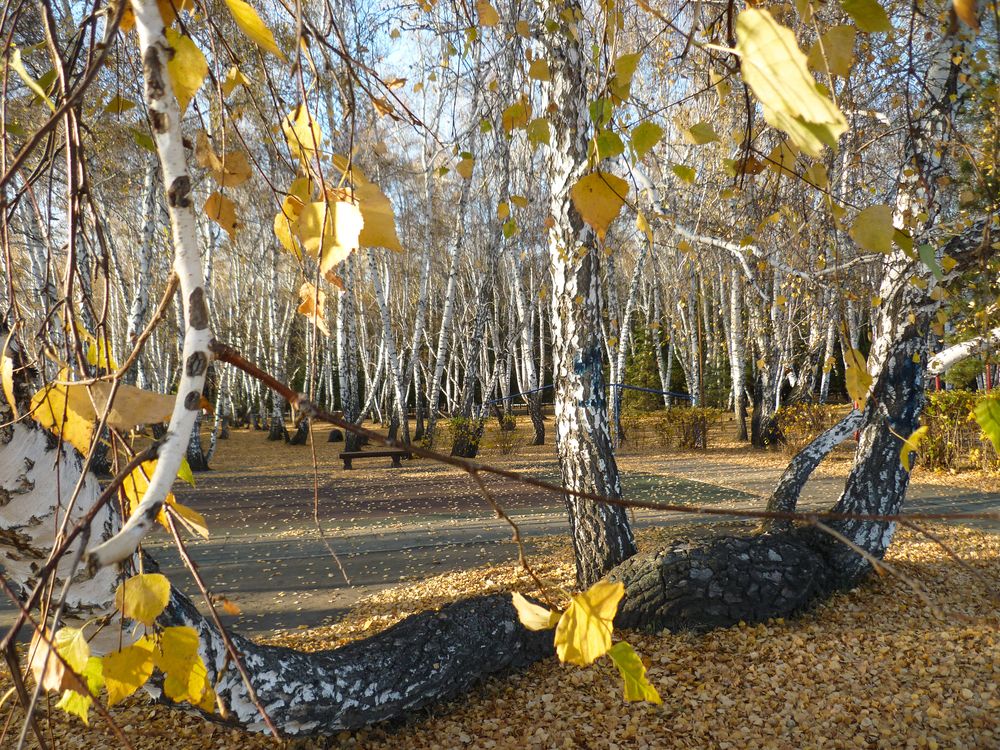 Photograph by Наталья Веселкина