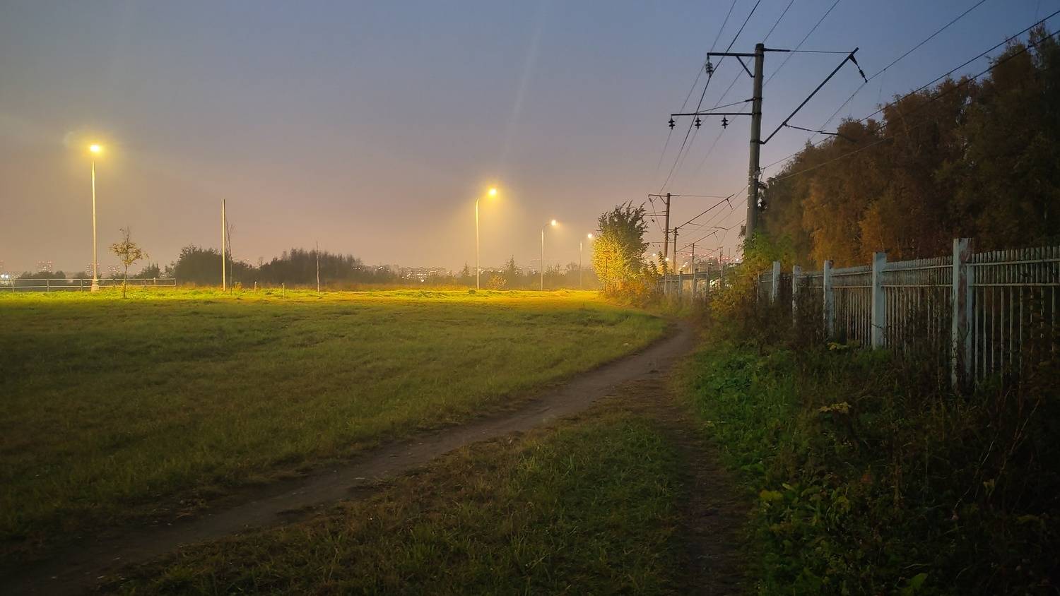 Photo #13075004