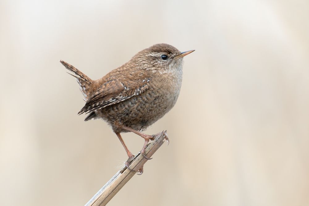 Photograph by Анатолий Садовский