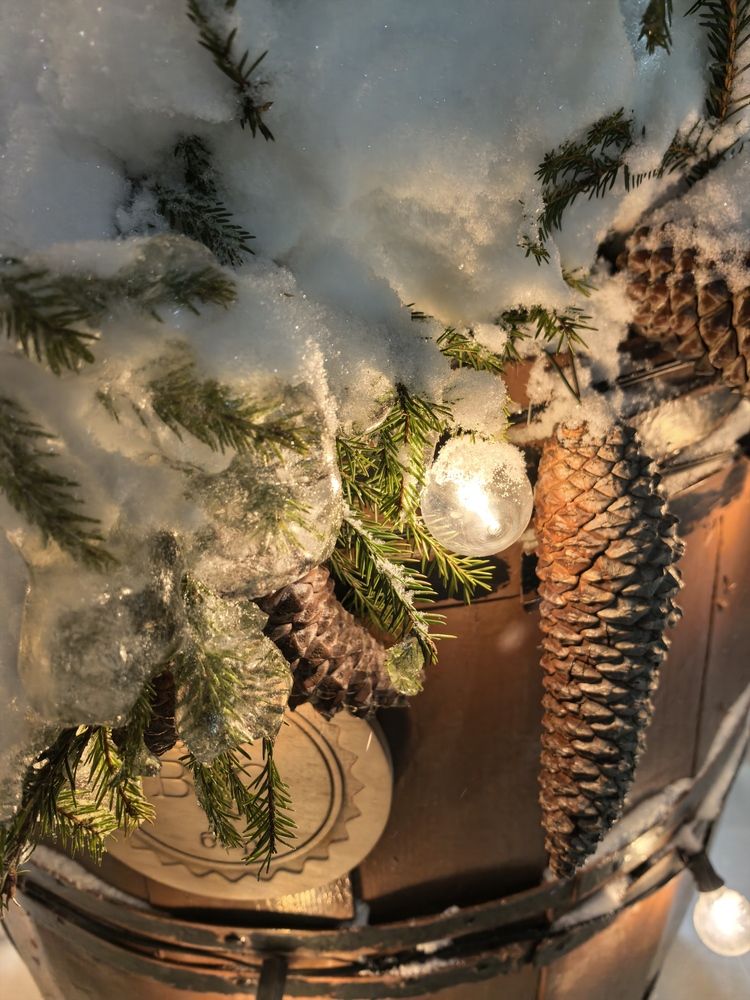 Фотография автора Елена Охапкина